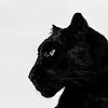 suedepanther