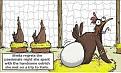 Click image for larger version

Name:	laying egg.jpg
Views:	1
Size:	69.3 KB
ID:	1165974