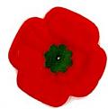 Click image for larger version

Name:	legionpoppy%20(2).jpg
Views:	1
Size:	7.0 KB
ID:	1180332