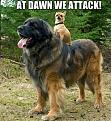 Click image for larger version

Name:	392455_10150905911658673_1105406026_n.jpg
Views:	1
Size:	81.7 KB
ID:	1155362