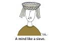 Click image for larger version

Name:	mind-like-a-sieve.jpg
Views:	1
Size:	41.8 KB
ID:	1176295