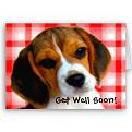 Click image for larger version

Name:	beagle_pup_puppy_card-p137558926963580546b2ico_400.jpg
Views:	1
Size:	34.6 KB
ID:	1156061