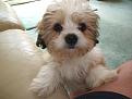 Click image for larger version

Name:	bailey.jpg
Views:	2
Size:	75.8 KB
ID:	1155117