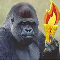 Click image for larger version

Name:	gorilla430c+Torch.jpg
Views:	1
Size:	49.1 KB
ID:	1155518