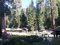 Click image for larger version

Name:	018 Sequoia1.jpg
Views:	1
Size:	663.1 KB
ID:	1155639