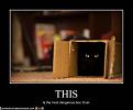 Click image for larger version

Name:	image001 (2).jpg
Views:	1
Size:	65.3 KB
ID:	1156145