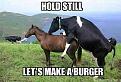 Click image for larger version

Name:	burgers.jpg
Views:	1
Size:	25.9 KB
ID:	1156304