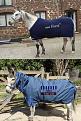 Click image for larger version

Name:	horsey.jpg
Views:	2
Size:	140.4 KB
ID:	1156369