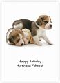 Click image for larger version

Name:	rose.jpg
Views:	1
Size:	59.6 KB
ID:	1159387