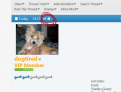 Click image for larger version

Name:	forumhomebutton.png
Views:	1
Size:	97.7 KB
ID:	1160725
