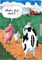 Click image for larger version

Name:	farming-pig-hen-chicken-farm-cow-30700765_low.jpg
Views:	1
Size:	68.1 KB
ID:	1162017
