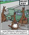 Click image for larger version

Name:	animals-kangaroo-roo-australia-plastic-bag-shl100529_low.jpg
Views:	1
Size:	68.9 KB
ID:	1162021