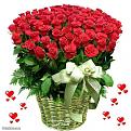 Click image for larger version

Name:	ROSES.jpg
Views:	1
Size:	90.5 KB
ID:	1163327