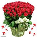 Click image for larger version

Name:	ROSES.jpg
Views:	1
Size:	90.5 KB
ID:	1163327