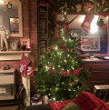 Click image for larger version

Name:	2015-12-12 09_13_21-(1) Sharon Coleman.png
Views:	1
Size:	601.5 KB
ID:	1168225