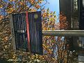 Click image for larger version

Name:	IMG_0670 (480x640).jpg
Views:	1
Size:	314.6 KB
ID:	1172541