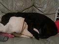 Click image for larger version

Name:	Make Yourself At Home.jpg
Views:	1
Size:	51.1 KB
ID:	1177835