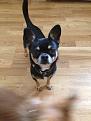 Click image for larger version

Name:	reggie.jpg
Views:	1
Size:	70.0 KB
ID:	1179864