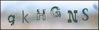 Registration Image