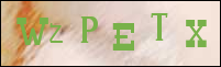 Registration Image